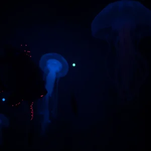 criaturas-abismales-oceano-profundo